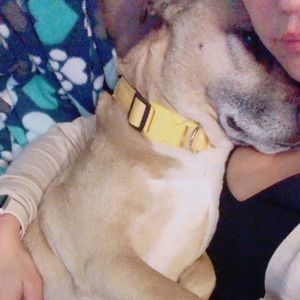 Meet your Posher, Saki